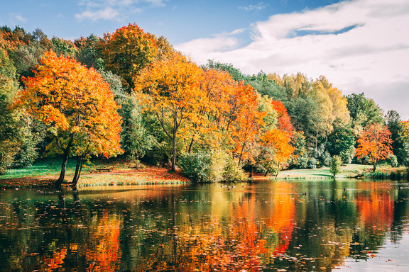 Indian Summer