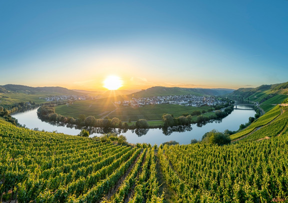 ALA178 Weinzauber entlang der Mosel