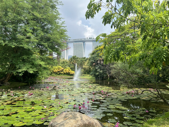 Singapur