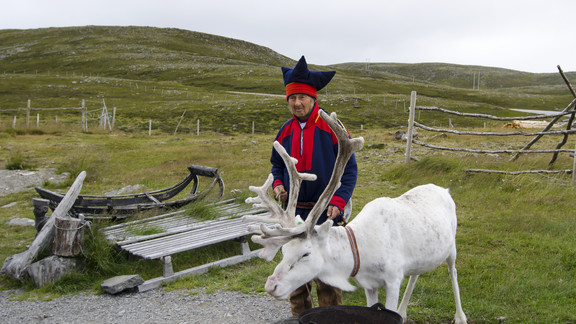 Über dem Polarkreis auf den Spuren der Postschiffe Sami in Tracht und mit Rentier