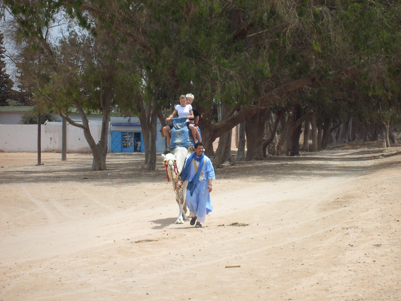 Kamelreiten in Agadir