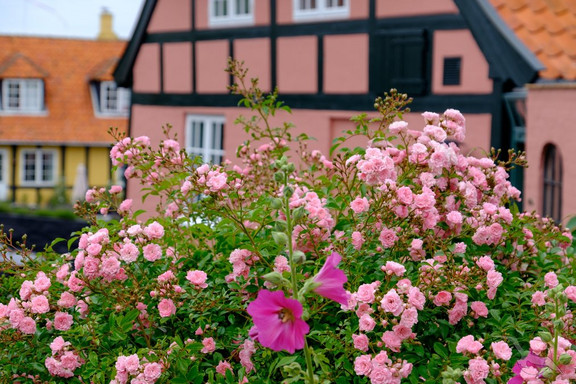 Fachwerkhaus mit Blumenschmuck