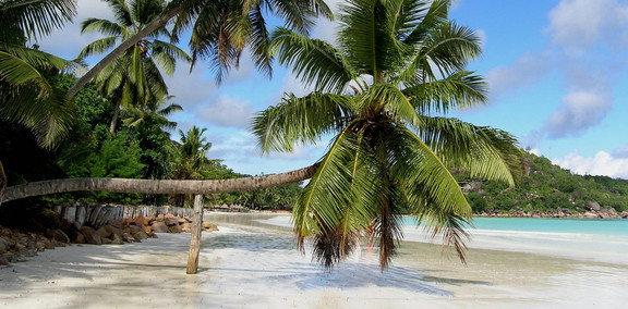 Traumstrand auf La Reunion