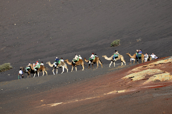 Ausflug auf Lanzarote mit Kamelritt