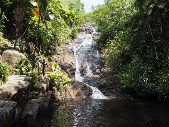 Wasserfall auf den Seychellen