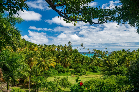 Landschaft auf St. Vincent