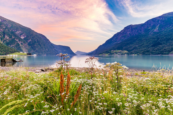 Skjolden Panorama
