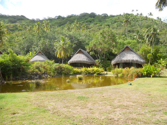 Häuser auf Moorea