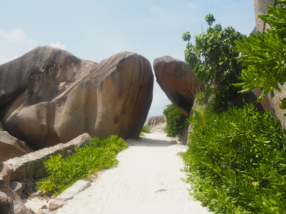 Das Beste im Indischen Ozean mit MS Amadea La Dique Naturschutzgebiet