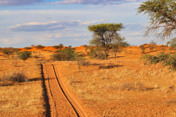 Landschaft, Savanne von Namibia
