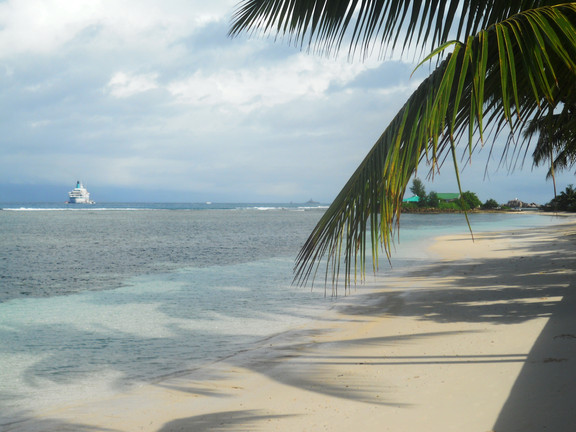 Kreuzfahrt MS Amera AMR154 Phoenix Reisen Weltreise