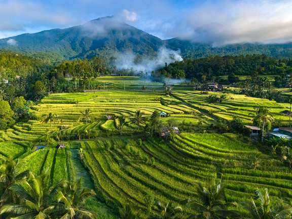 Bali Reisefelder