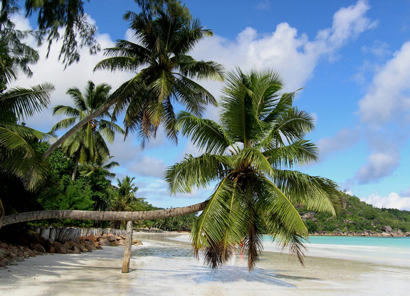 Traumstrand in der Karibik