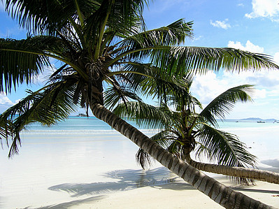 Phoenix Reisen Mauritius