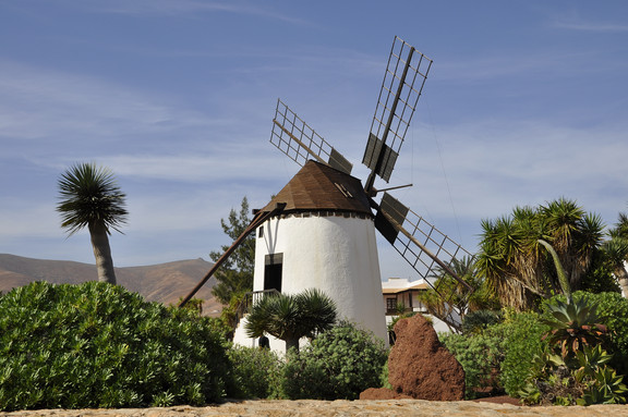 Botanischer Garten auf Lanzarote