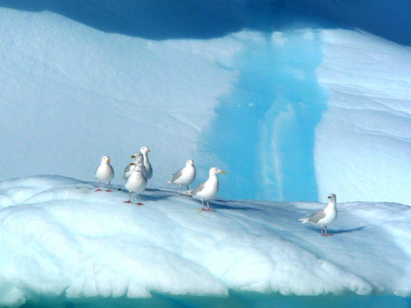 Eisformation in Grönland