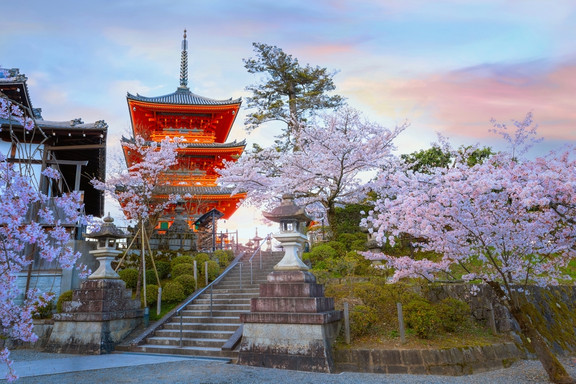 Japanischer Tempel zur Kirschblütenzeit in Kijoto