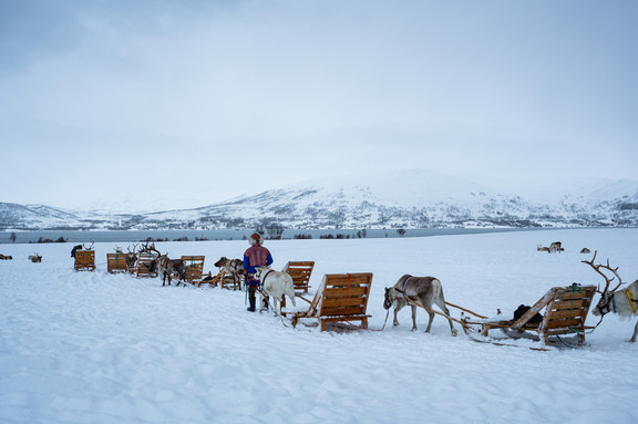 Rentierschlittenfahrt im Winter in Norwegen
