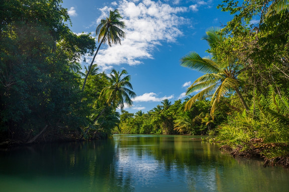 Dominica