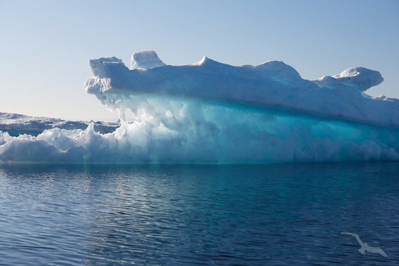 AMA526 Grönland-Abenteuer mit Naturschauspiel Sonnenfinsternis - Kreuzfahrt MS Amadea Phoenix Reisen