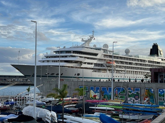 MS Amera im Hafen von Funchal