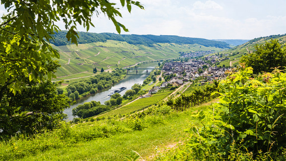 ALA178 Weinzauber entlang der Mosel