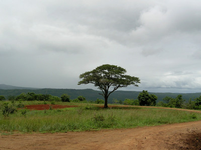 Phoenix Reisen Afrika