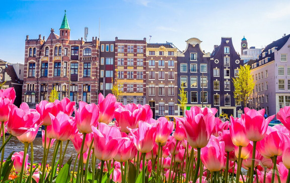 Stadtbild von Amsterdam mit Tulpen