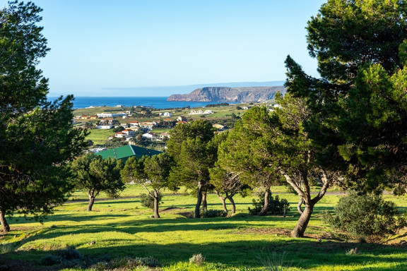Landschaft auf Porto Santo