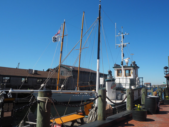 Newport