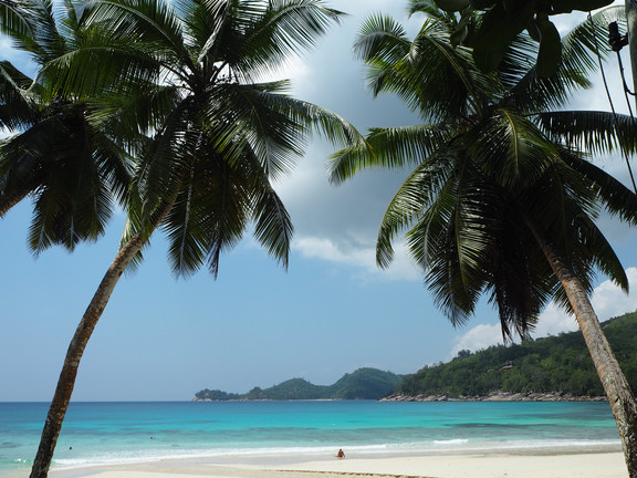 Traumstrand auf den Seychellen