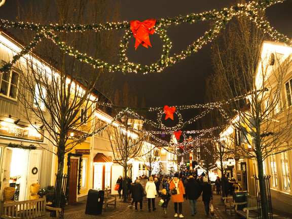ART511 Zauberhafte Adventsreise mit MS Amadea Beleuchtete Weihnachtsstrasse in Kopenhagen