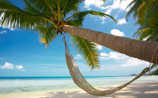 Phoenix Reisen Mauritius